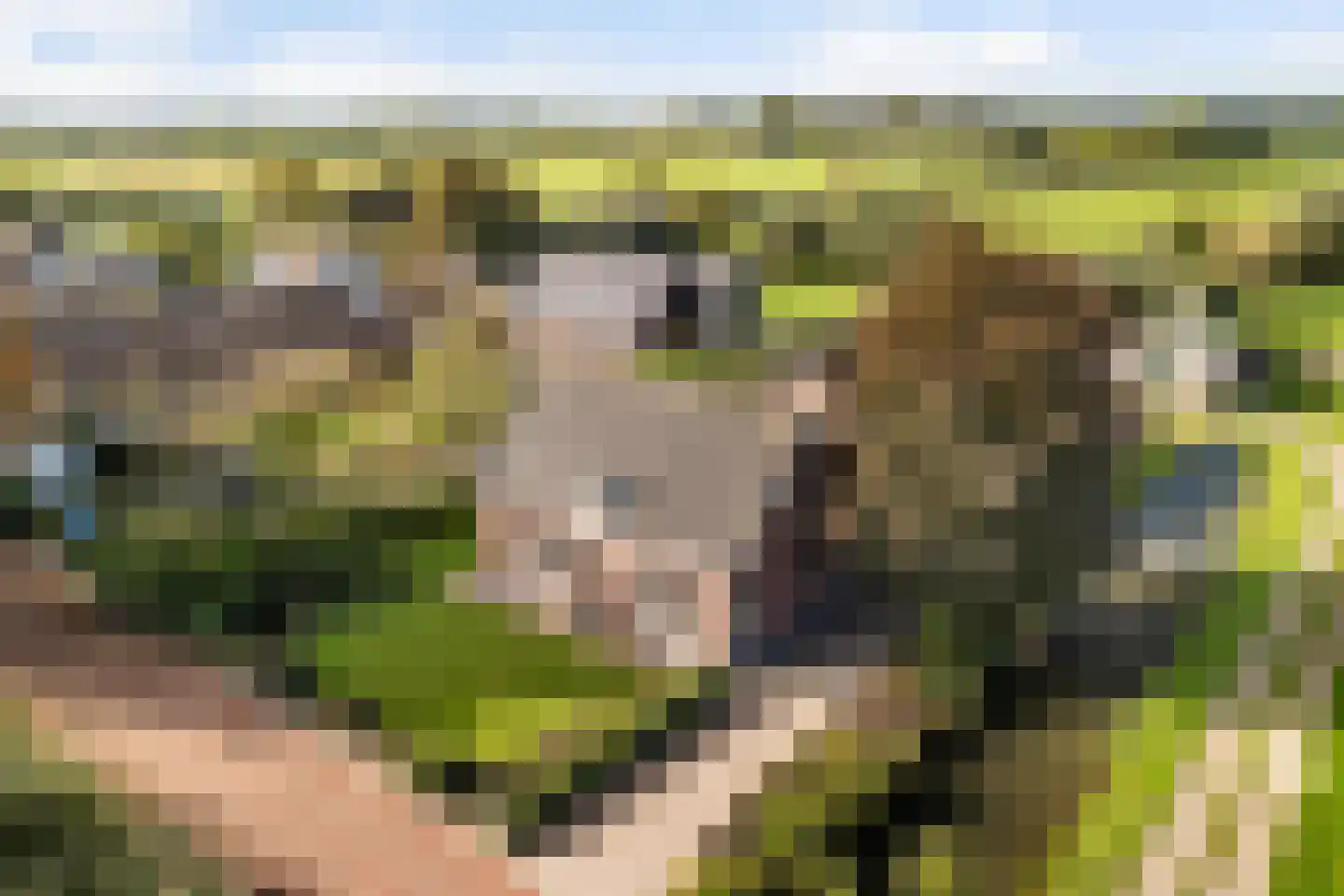 Julianalaan 16 Nieuwer Ter Aa thumbnail 4
