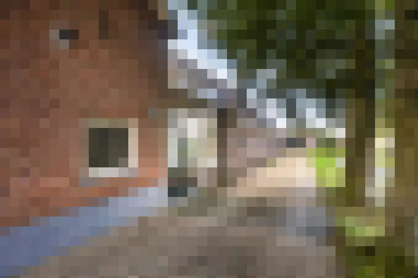 Julianalaan 16 Nieuwer Ter Aa thumbnail 40