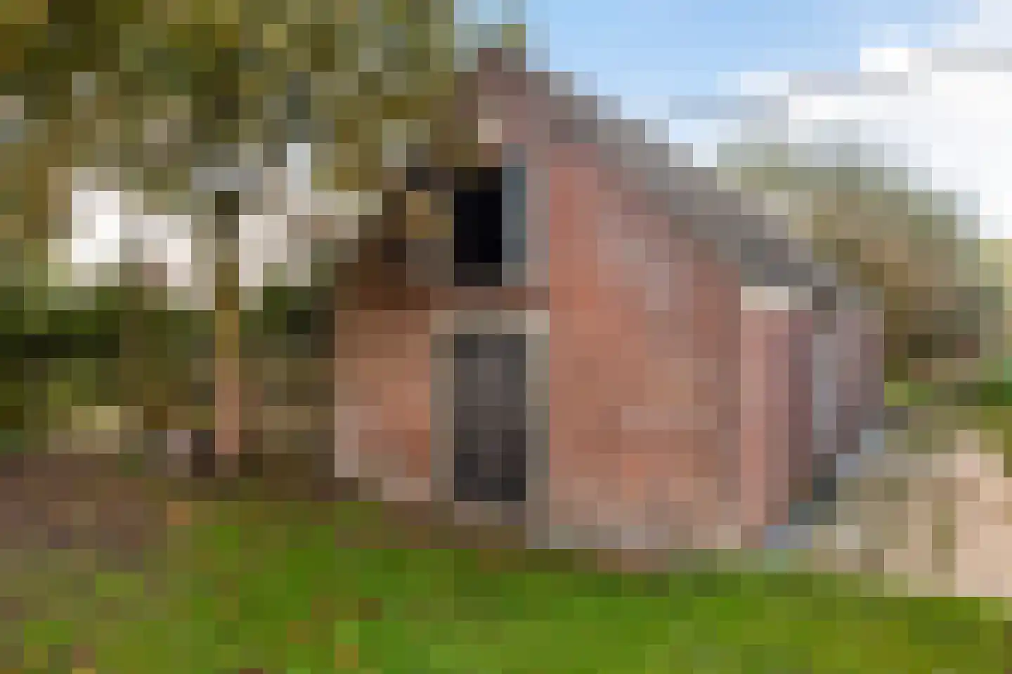 Julianalaan 16 Nieuwer Ter Aa thumbnail 42