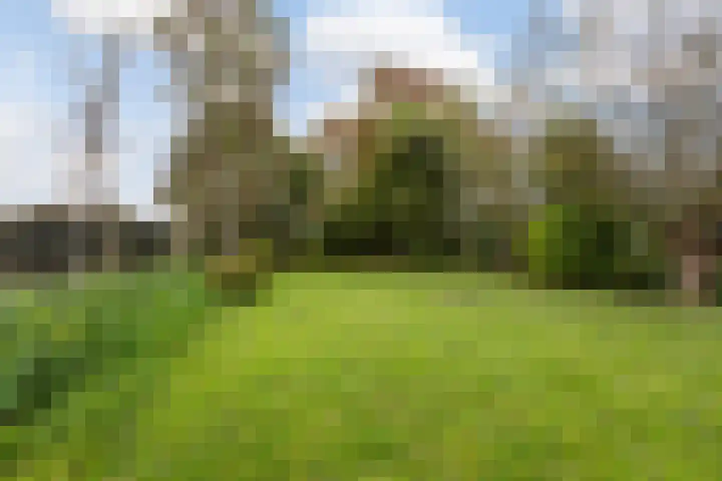 Julianalaan 16 Nieuwer Ter Aa thumbnail 45