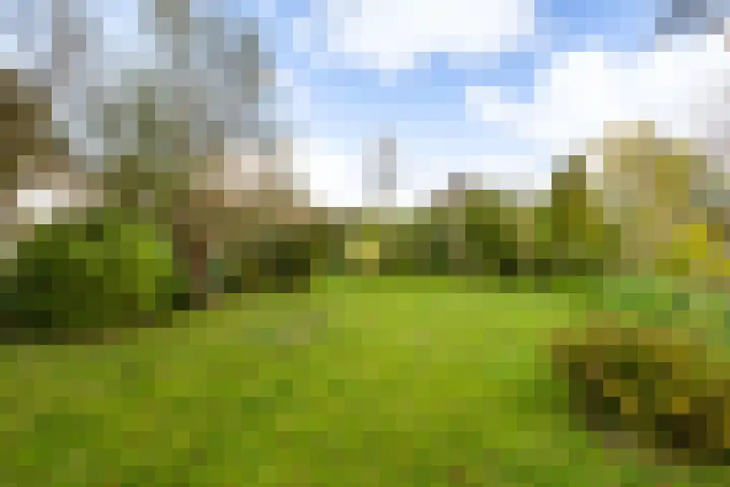 Julianalaan 16 Nieuwer Ter Aa thumbnail 46