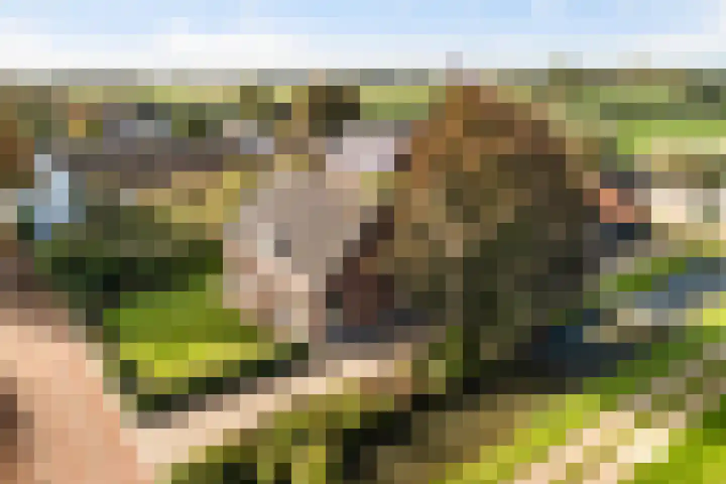 Julianalaan 16 Nieuwer Ter Aa thumbnail 49
