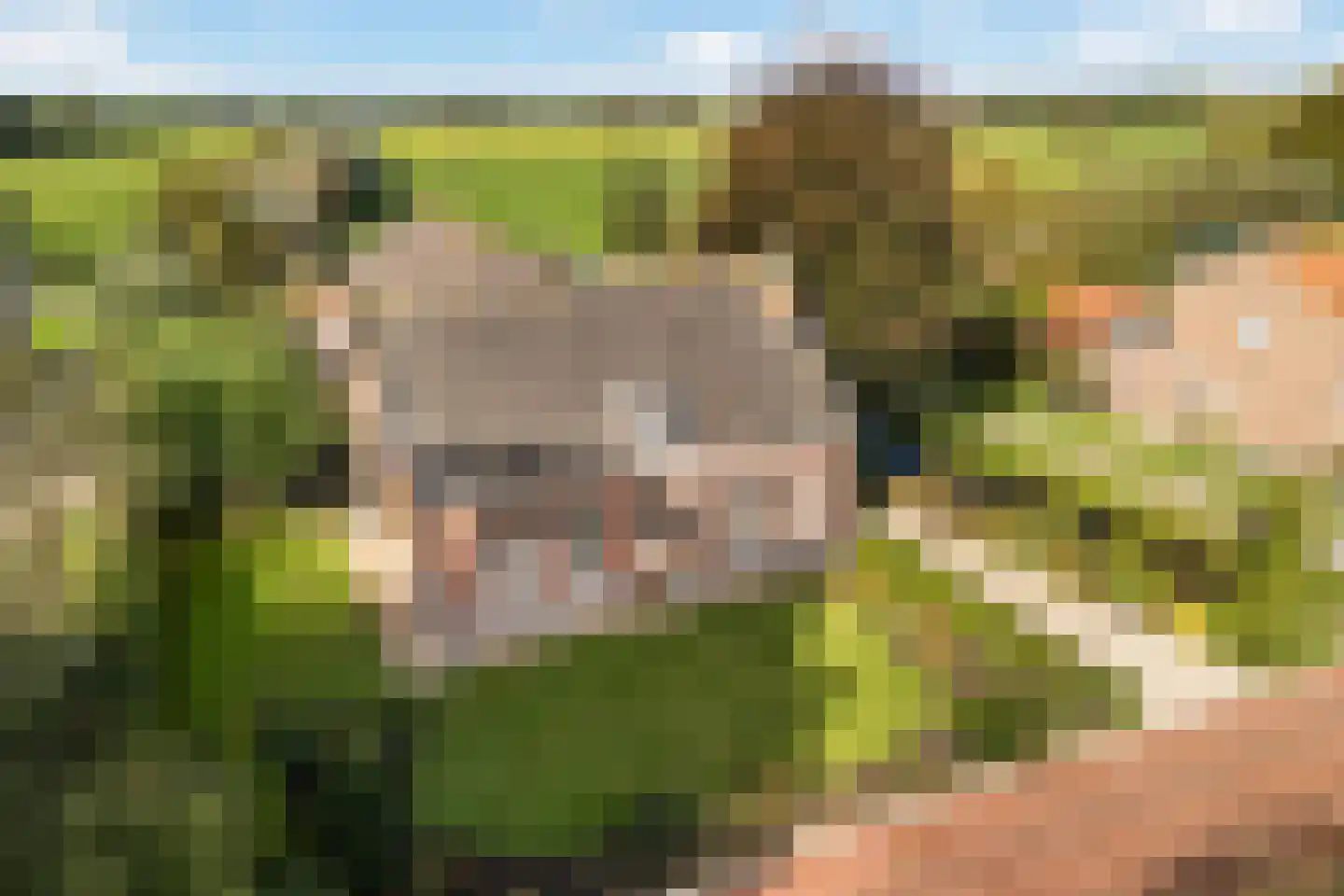Julianalaan 16 Nieuwer Ter Aa thumbnail 50