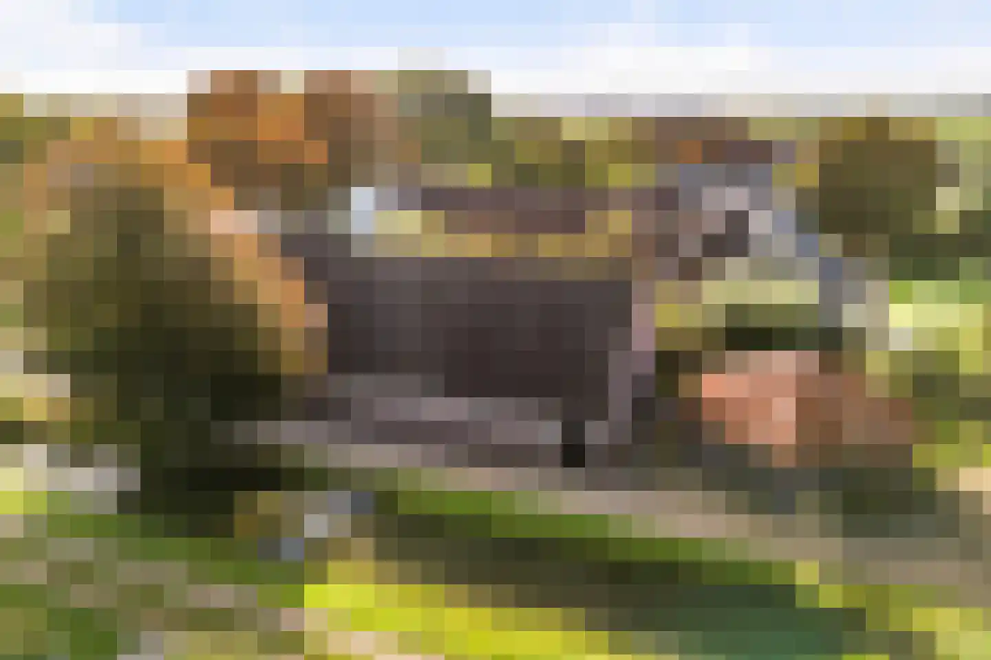 Julianalaan 16 Nieuwer Ter Aa thumbnail 51