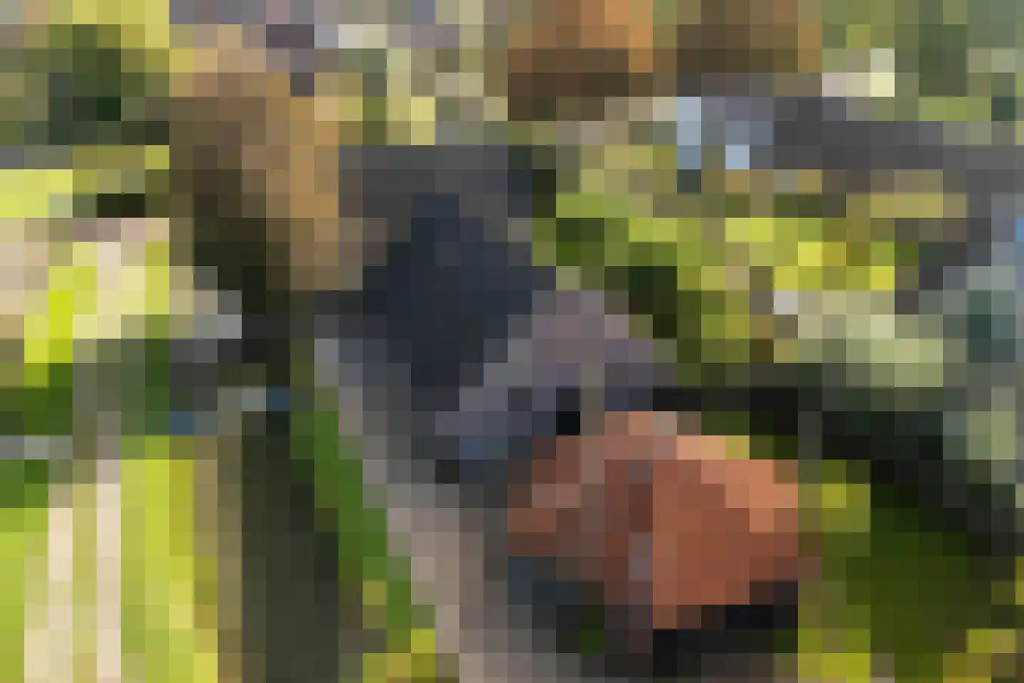 Julianalaan 16 Nieuwer Ter Aa thumbnail 53