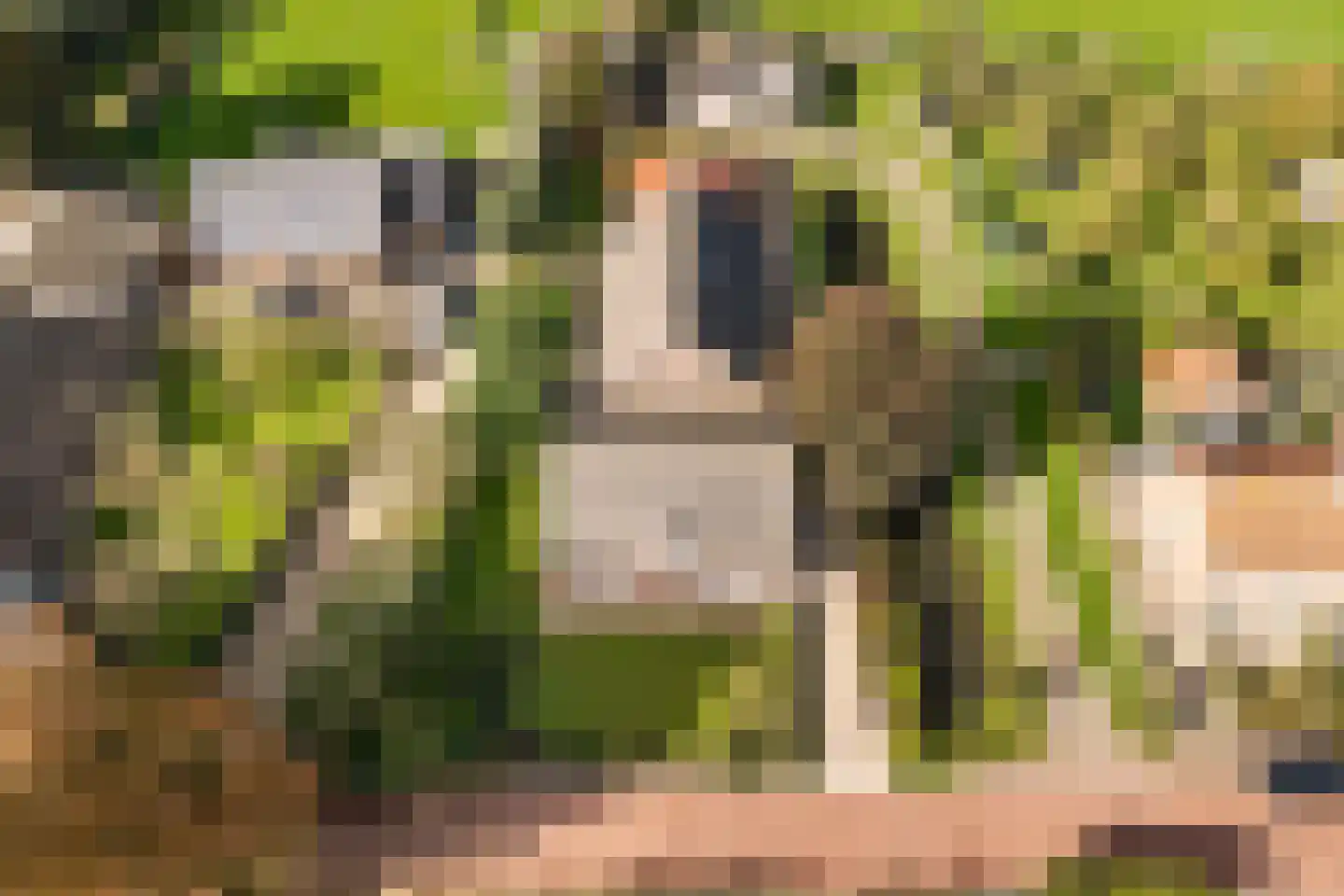 Julianalaan 16 Nieuwer Ter Aa thumbnail 55