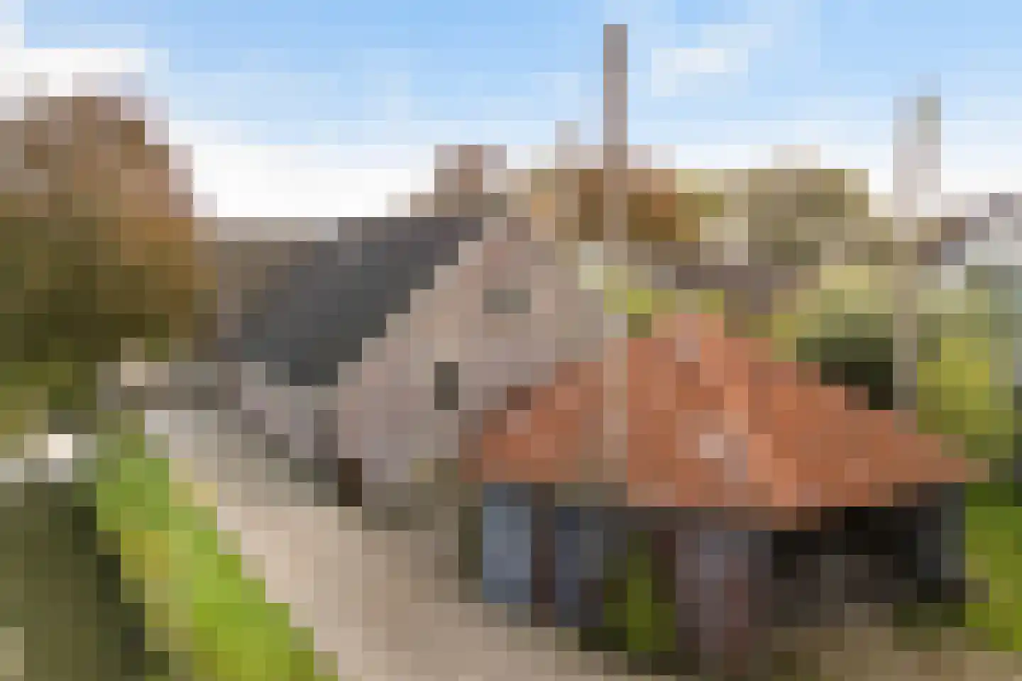 Julianalaan 16 Nieuwer Ter Aa thumbnail 57