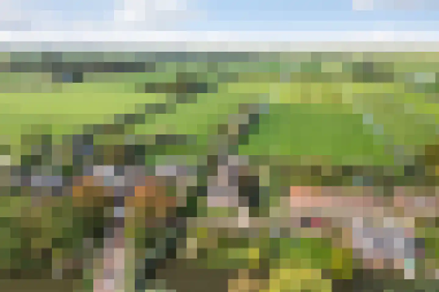Julianalaan 16 Nieuwer Ter Aa thumbnail 58