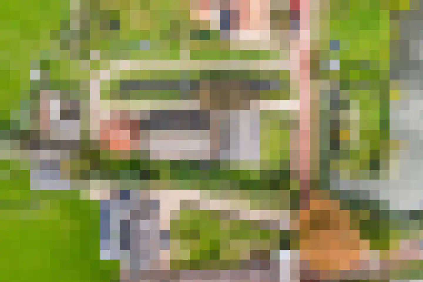 Julianalaan 16 Nieuwer Ter Aa thumbnail 6