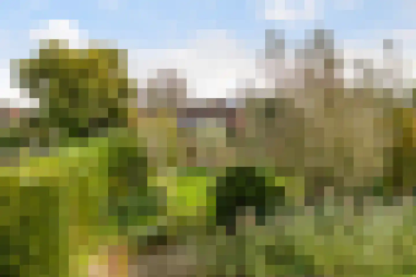 Julianalaan 16 Nieuwer Ter Aa thumbnail 60