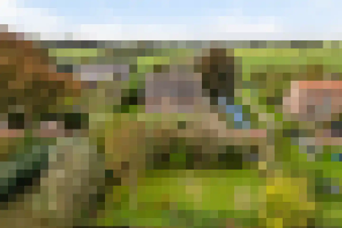 Julianalaan 16 Nieuwer Ter Aa thumbnail 61