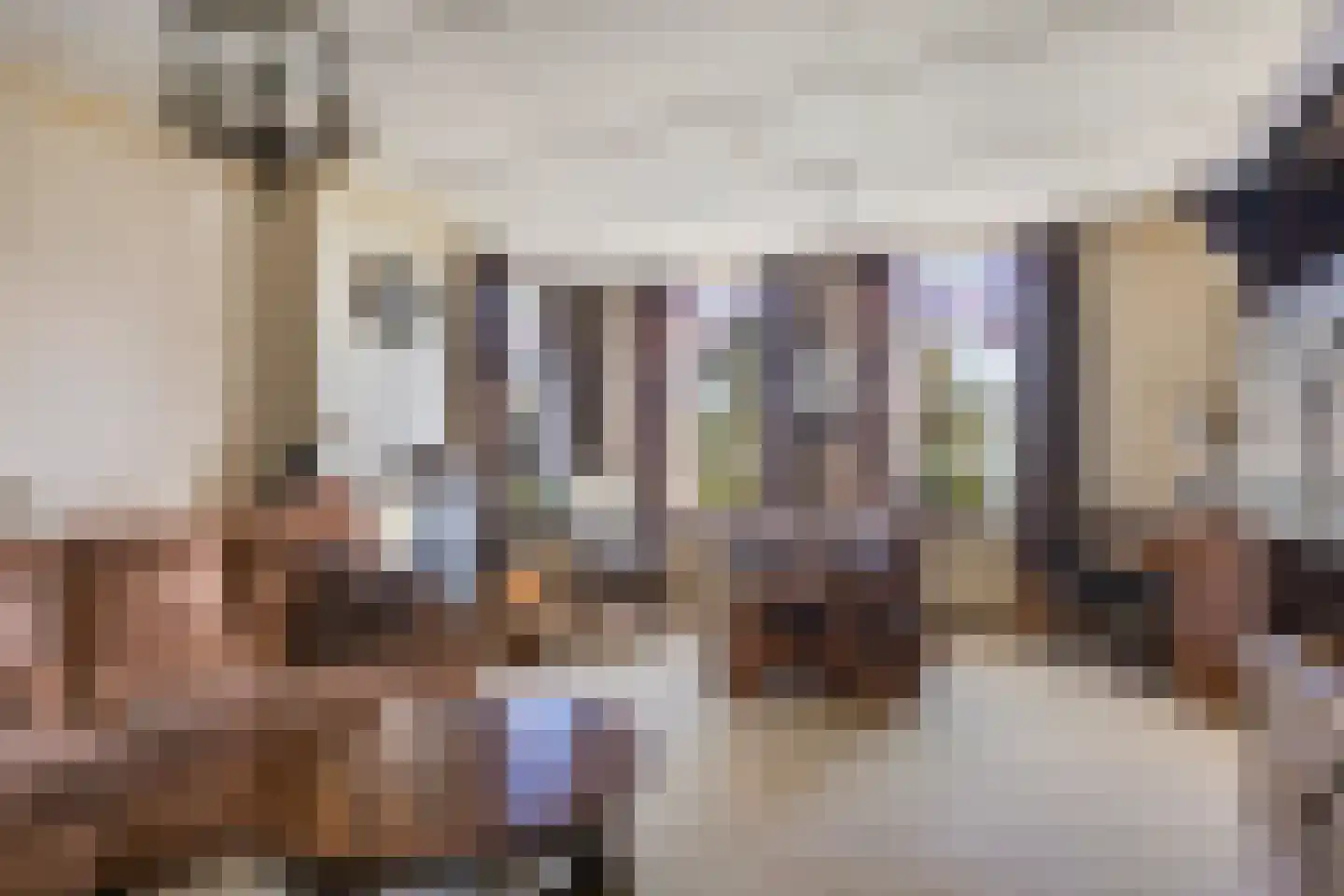 Julianalaan 16 Nieuwer Ter Aa thumbnail 9