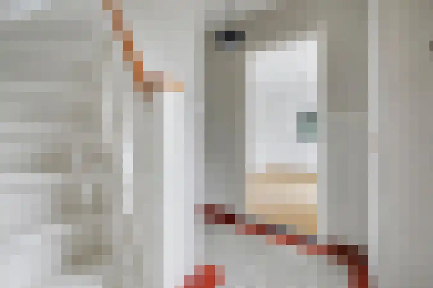 Julianalaan 16 's Gravenmoer thumbnail 12