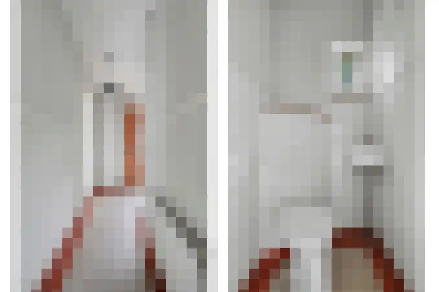 Julianalaan 16 's Gravenmoer thumbnail 13