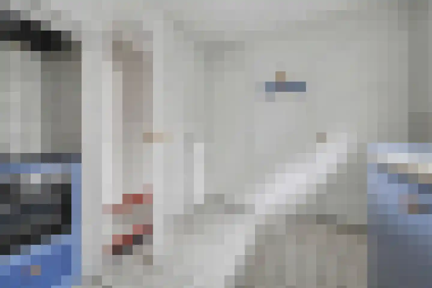 Julianalaan 16 's Gravenmoer thumbnail 26