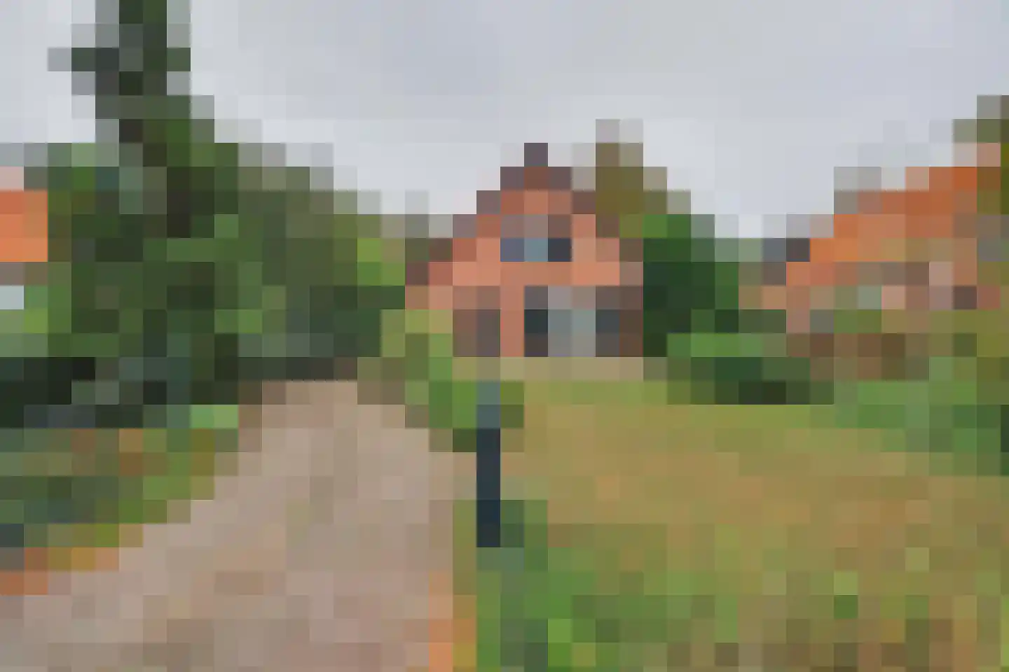 Julianalaan 16 's Gravenmoer foto 3