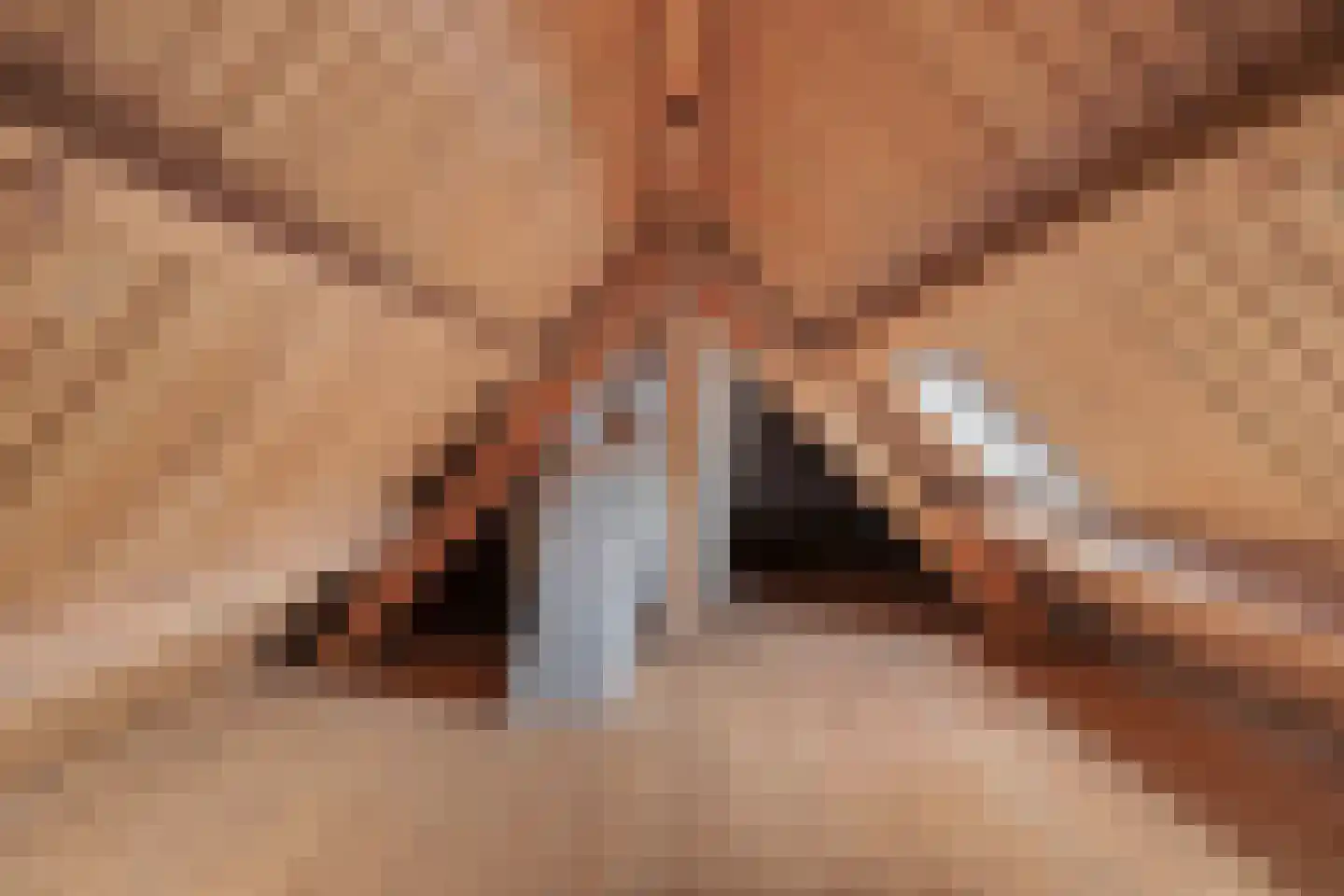Julianalaan 16 's Gravenmoer thumbnail 43