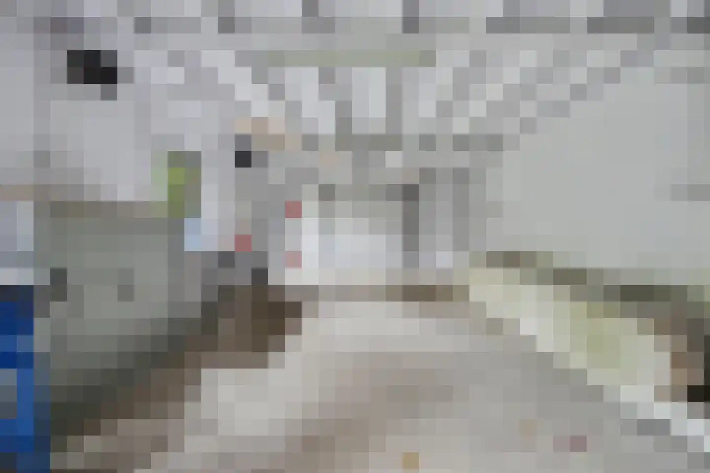 Julianalaan 16 's Gravenmoer thumbnail 44