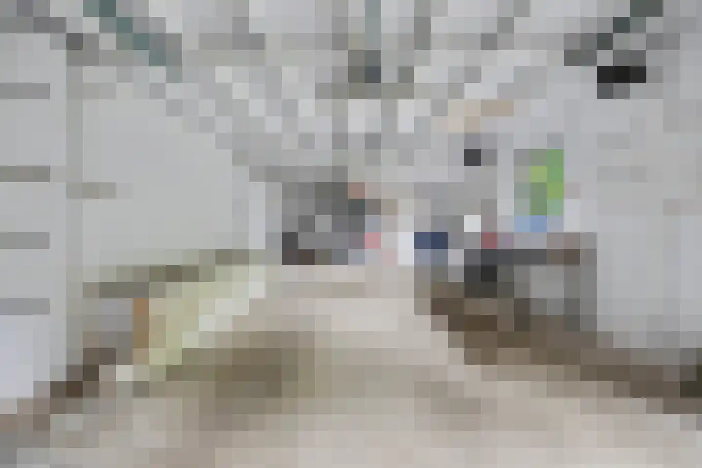 Julianalaan 16 's Gravenmoer thumbnail 45