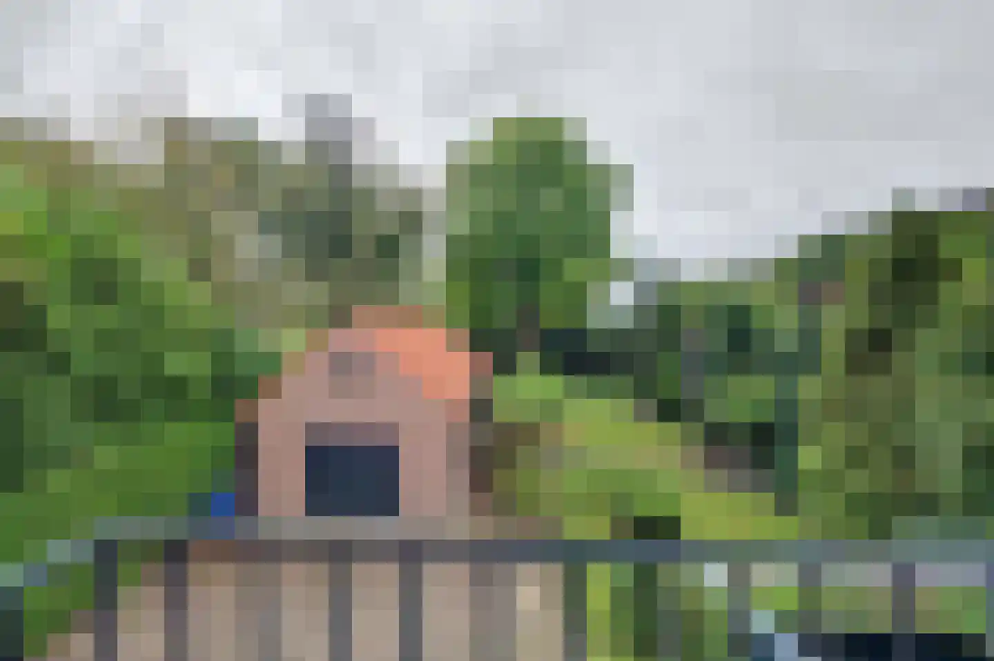 Julianalaan 16 's Gravenmoer thumbnail 47