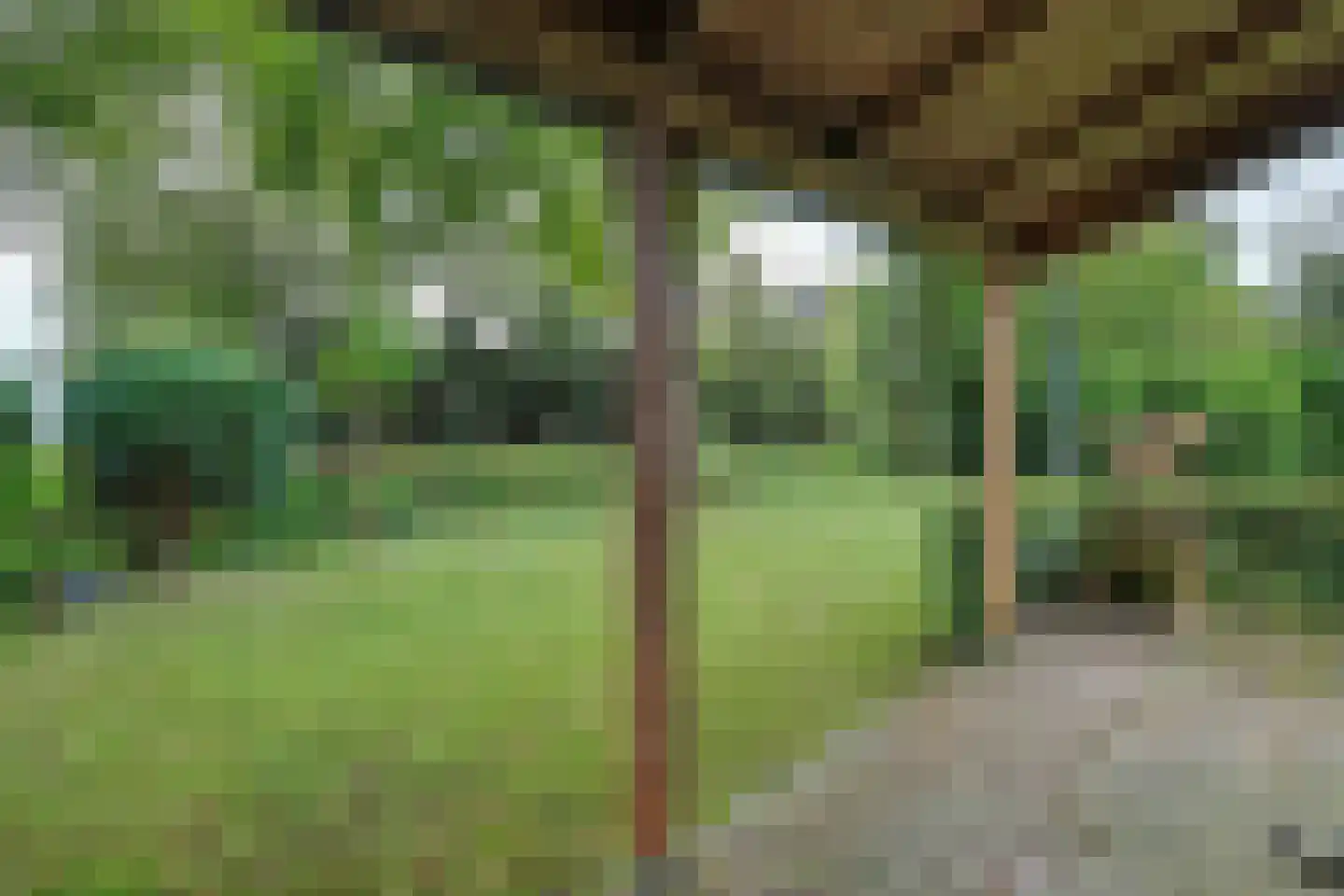 Julianalaan 16 's Gravenmoer thumbnail 48