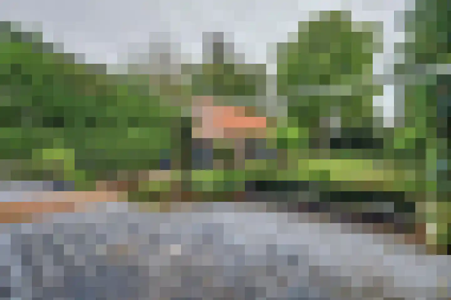 Julianalaan 16 's Gravenmoer thumbnail 49