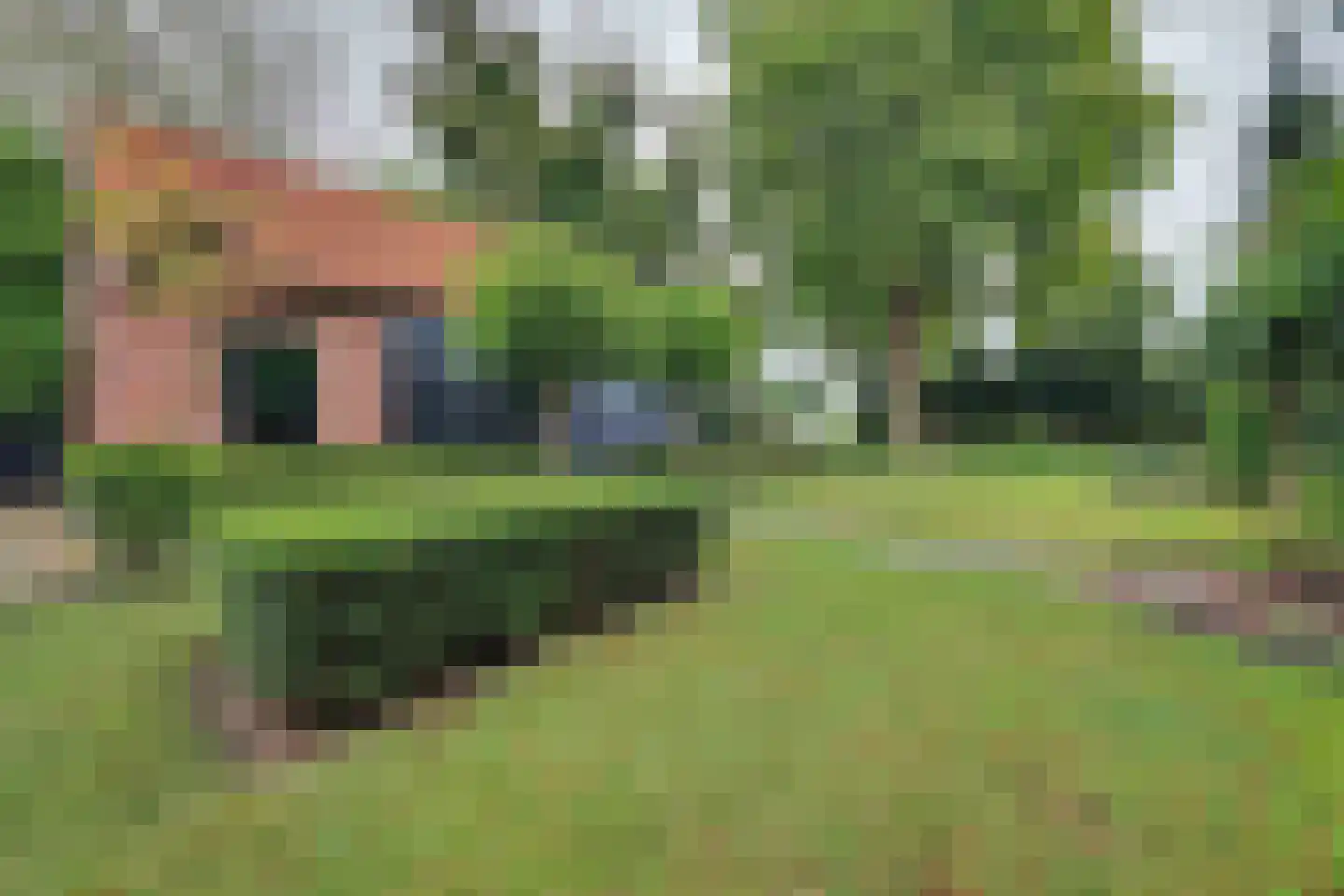 Julianalaan 16 's Gravenmoer thumbnail 5