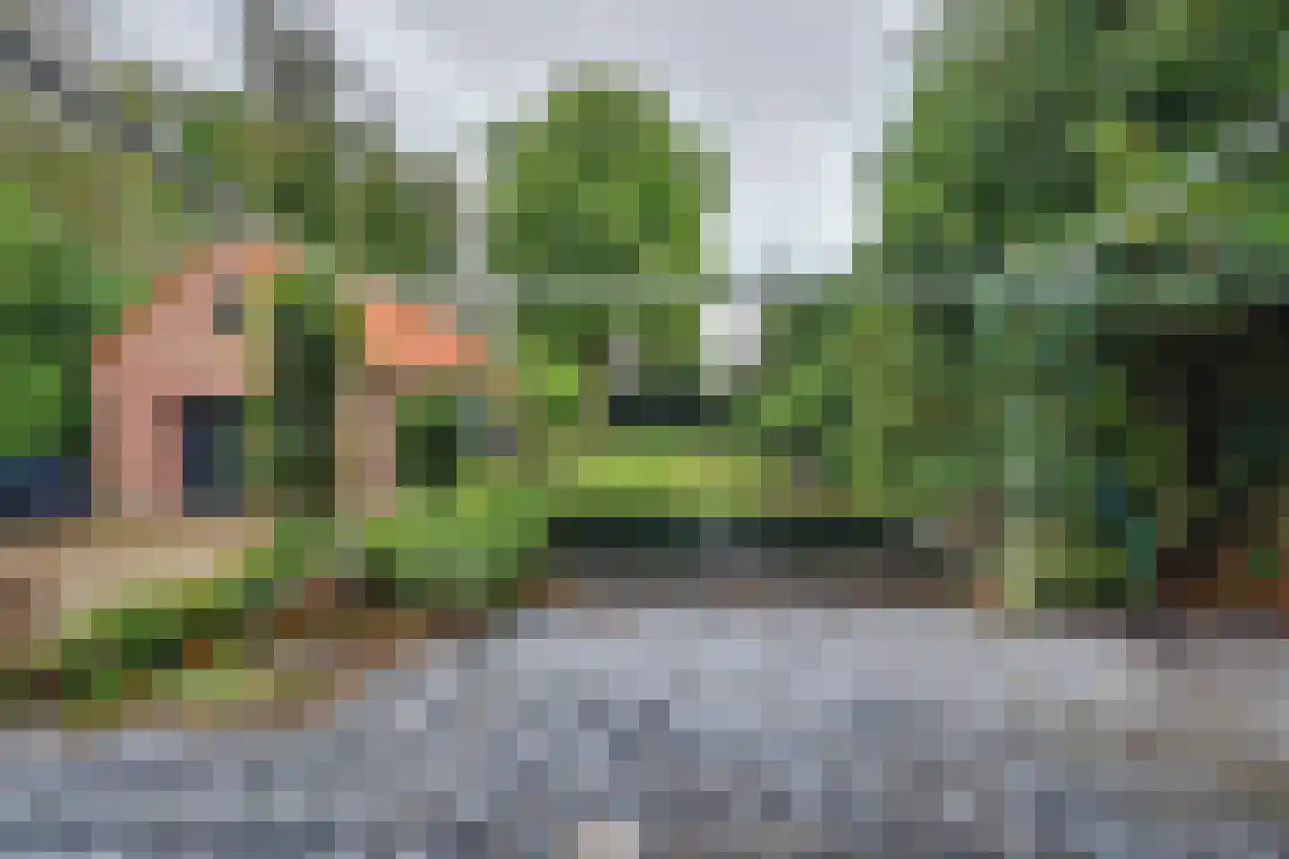 Julianalaan 16 's Gravenmoer thumbnail 50