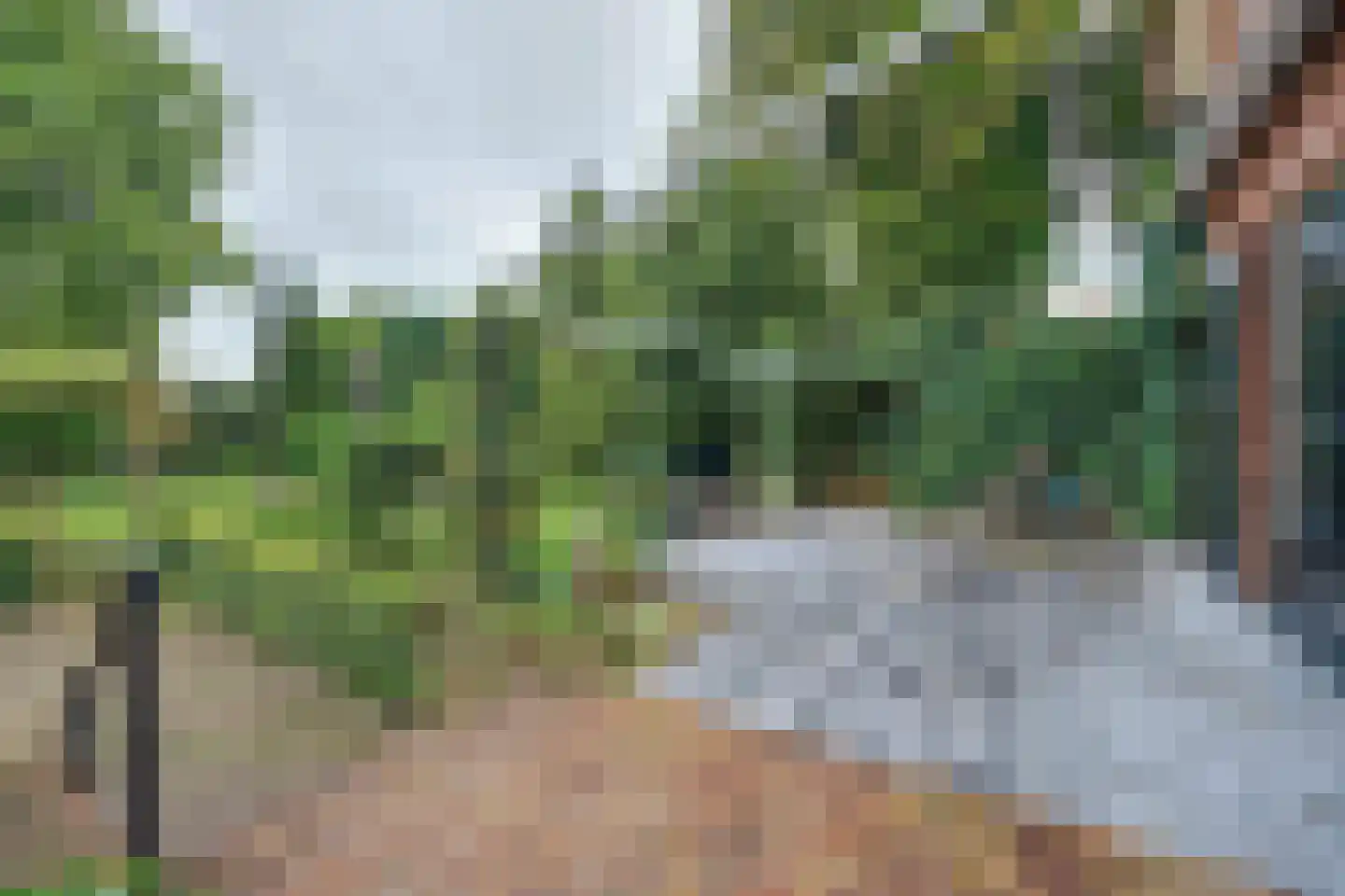 Julianalaan 16 's Gravenmoer thumbnail 51