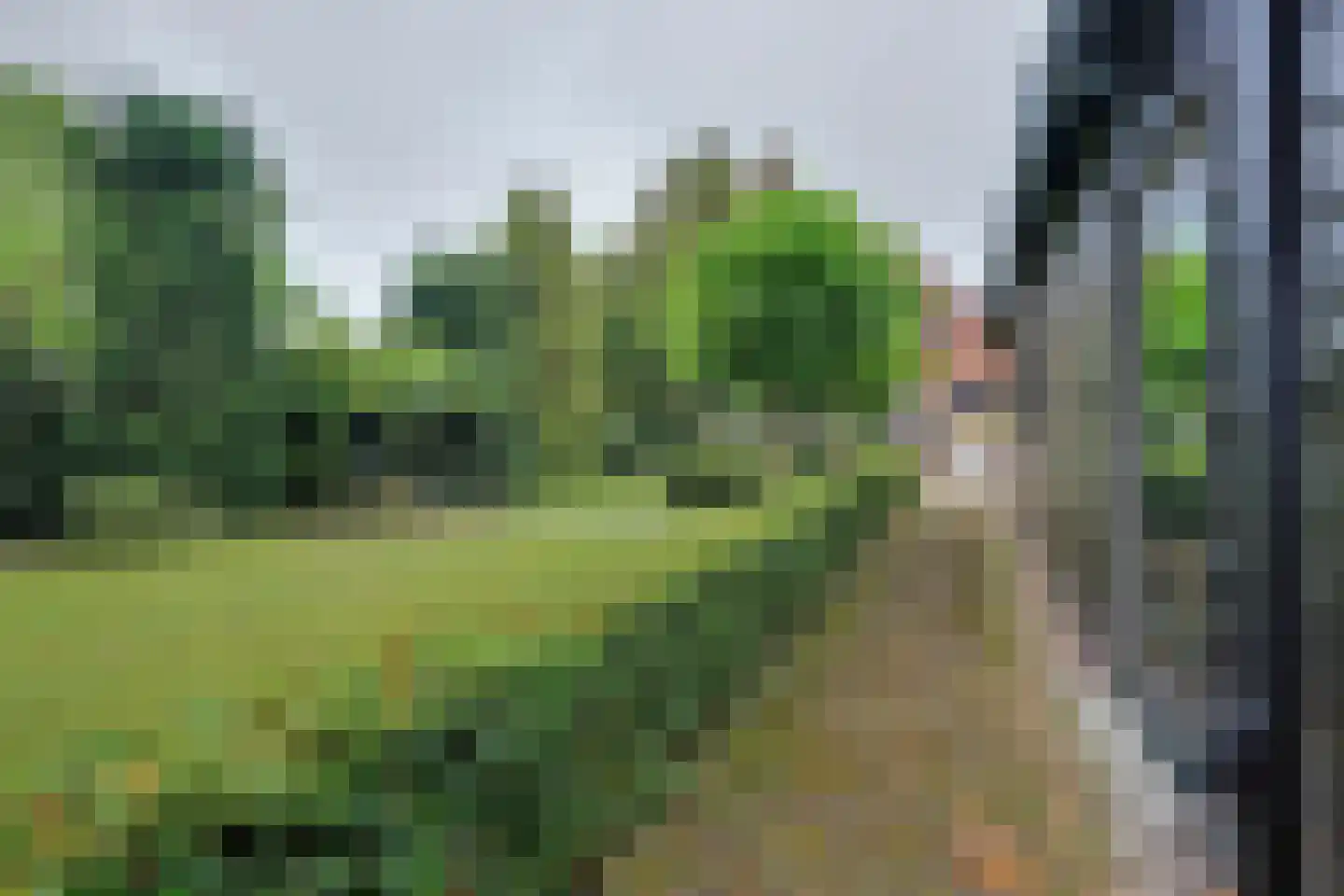 Julianalaan 16 's Gravenmoer thumbnail 57