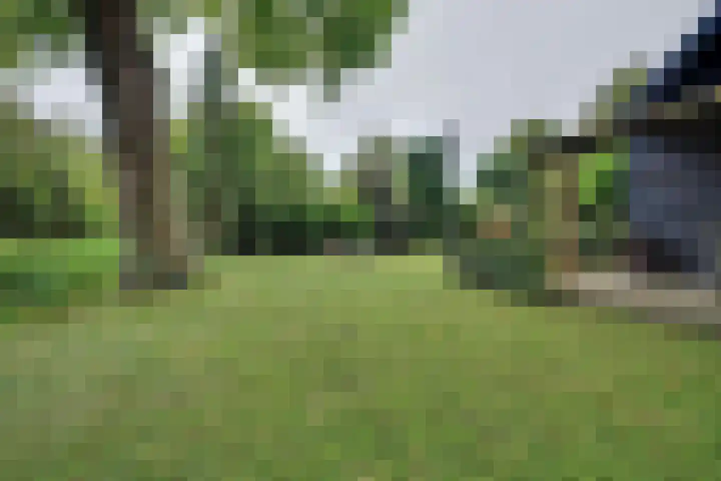Julianalaan 16 's Gravenmoer thumbnail 6