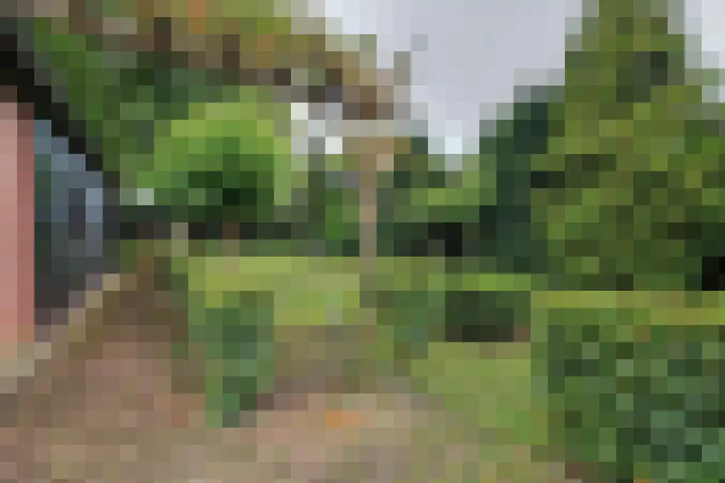 Julianalaan 16 's Gravenmoer thumbnail 61