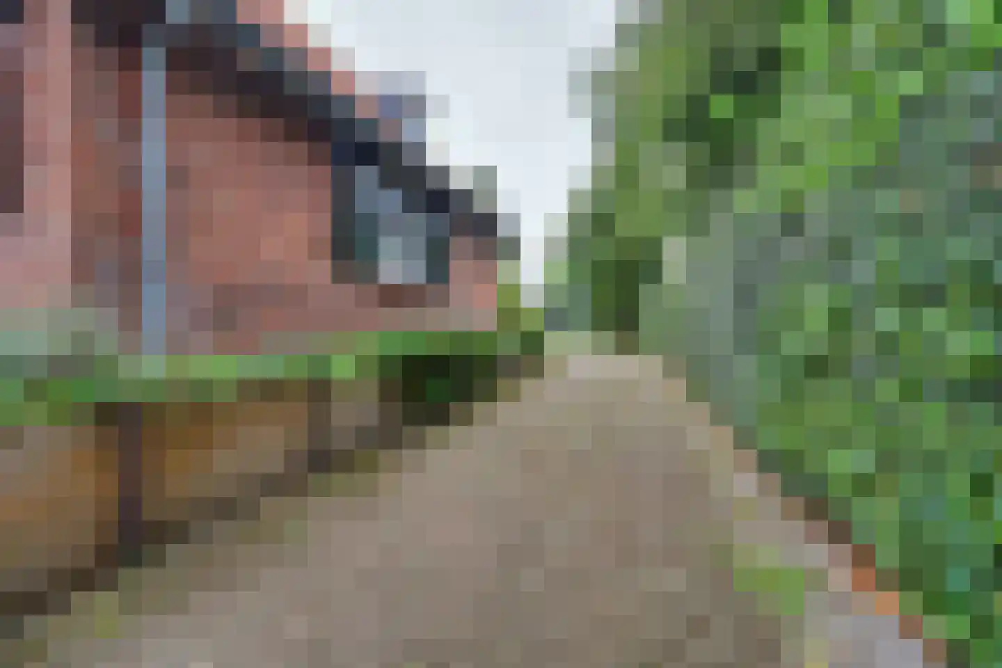 Julianalaan 16 's Gravenmoer thumbnail 62