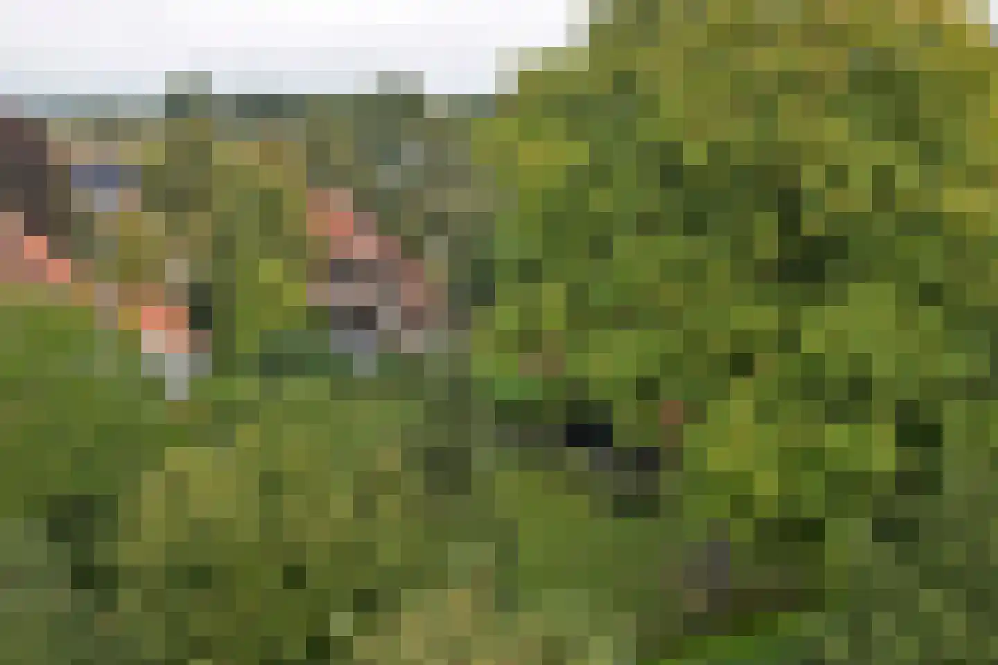 Julianalaan 16 's Gravenmoer thumbnail 65