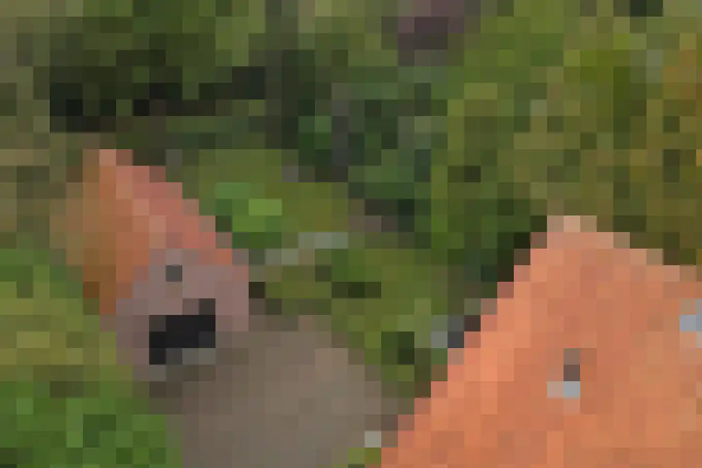 Julianalaan 16 's Gravenmoer thumbnail 66