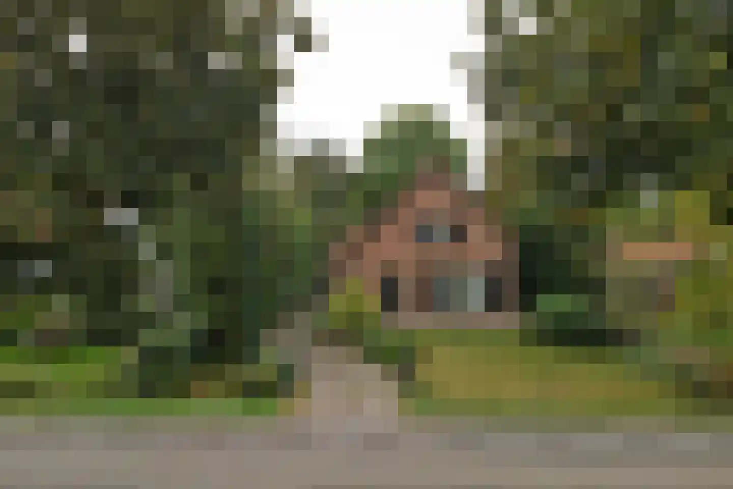 Julianalaan 16 's Gravenmoer thumbnail 67