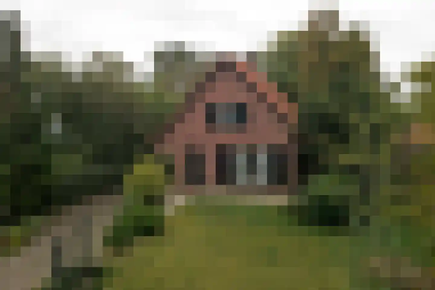 Julianalaan 16 's Gravenmoer thumbnail 68