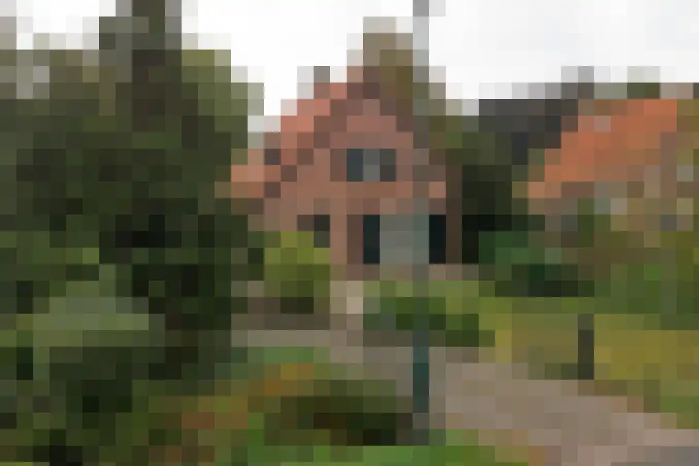 Julianalaan 16 's Gravenmoer thumbnail 9