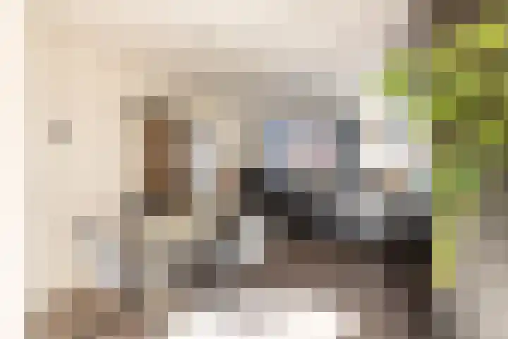 Julianalaan 161 De Rijp thumbnail 11