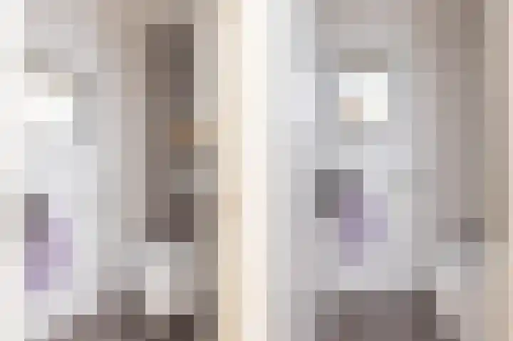Julianalaan 161 De Rijp thumbnail 13