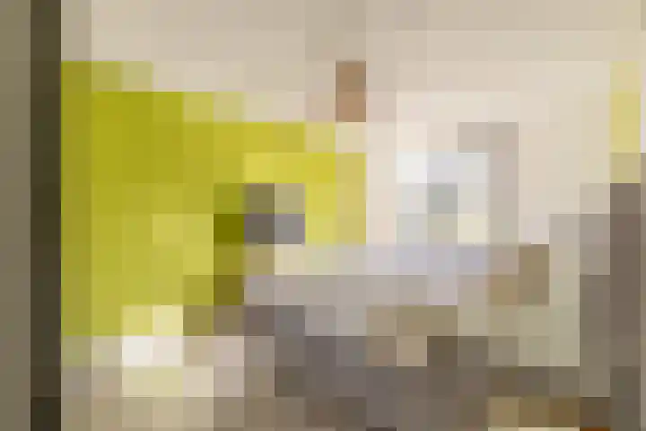 Julianalaan 161 De Rijp thumbnail 15