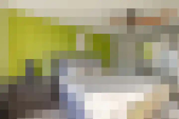 Julianalaan 161 De Rijp thumbnail 17