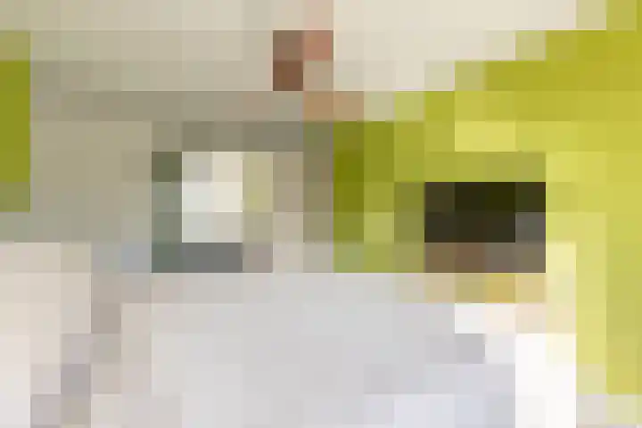 Julianalaan 161 De Rijp thumbnail 18