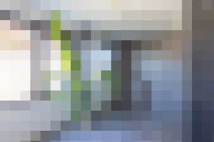 Julianalaan 161 De Rijp thumbnail 22