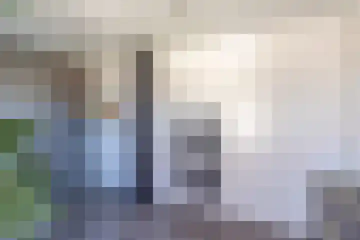 Julianalaan 161 De Rijp thumbnail 23