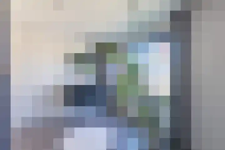 Julianalaan 161 De Rijp thumbnail 24