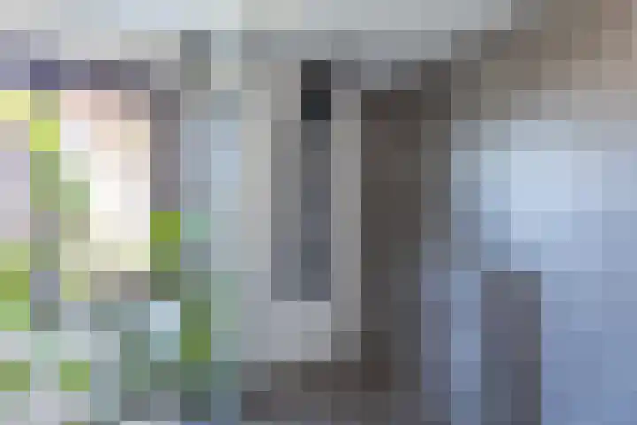 Julianalaan 161 De Rijp thumbnail 25