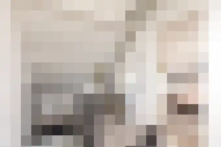 Julianalaan 161 De Rijp thumbnail 28
