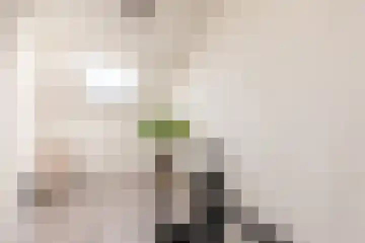 Julianalaan 161 De Rijp thumbnail 29
