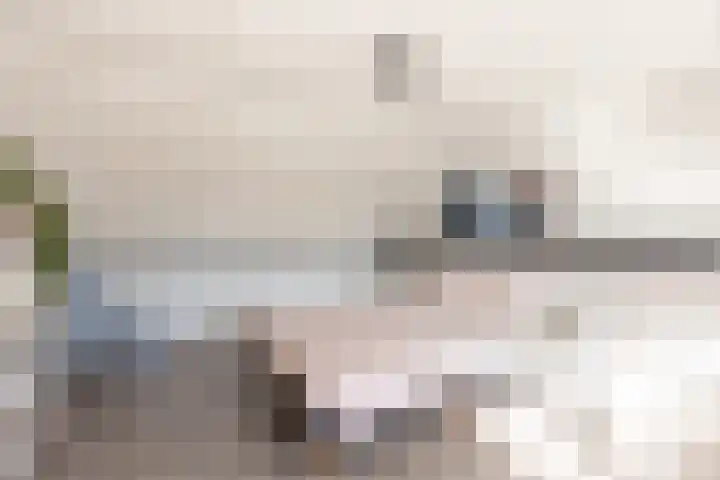 Julianalaan 161 De Rijp thumbnail 31